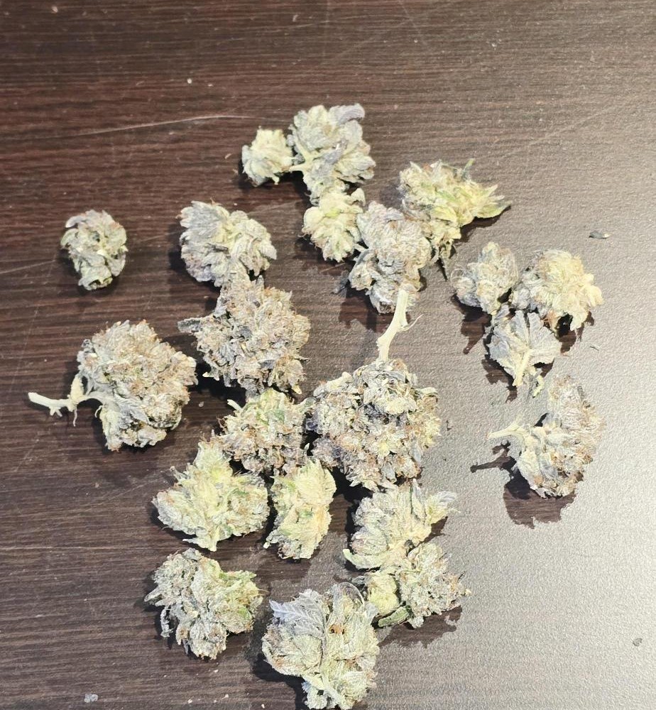 The same cannabis sample after Softrim processing: 21 smaller buds with exposed stems